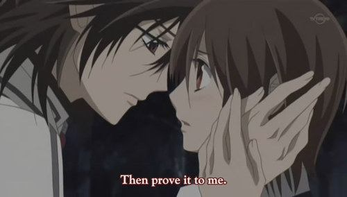 Vampire-Knight-vampire-knight-22189234-5