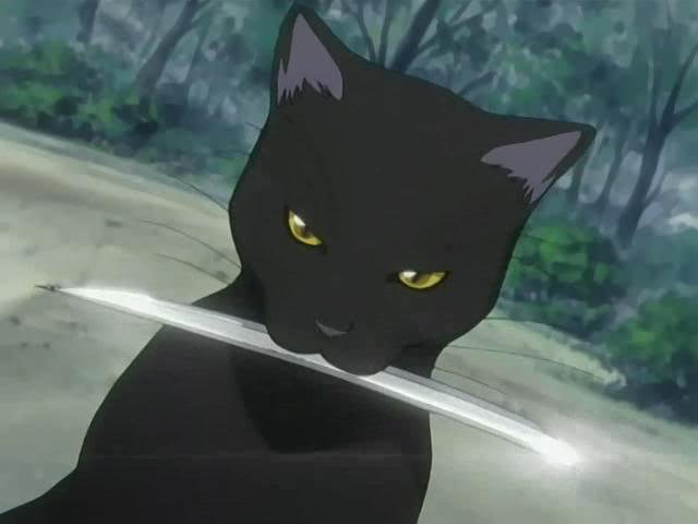 spacer.png