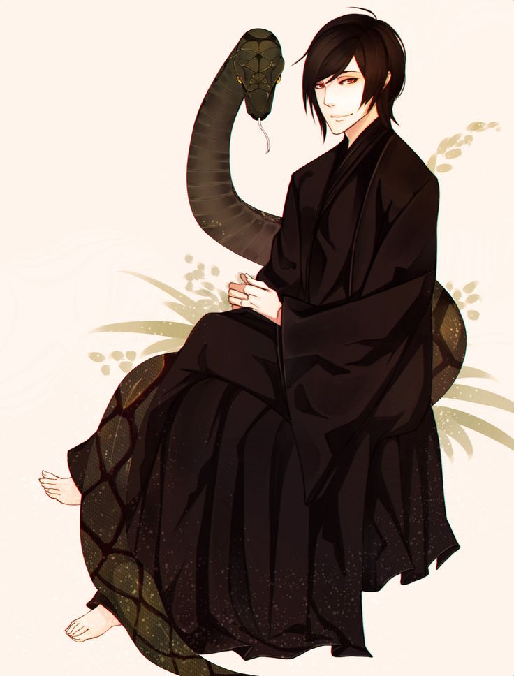 Image result for Voldemort anime version