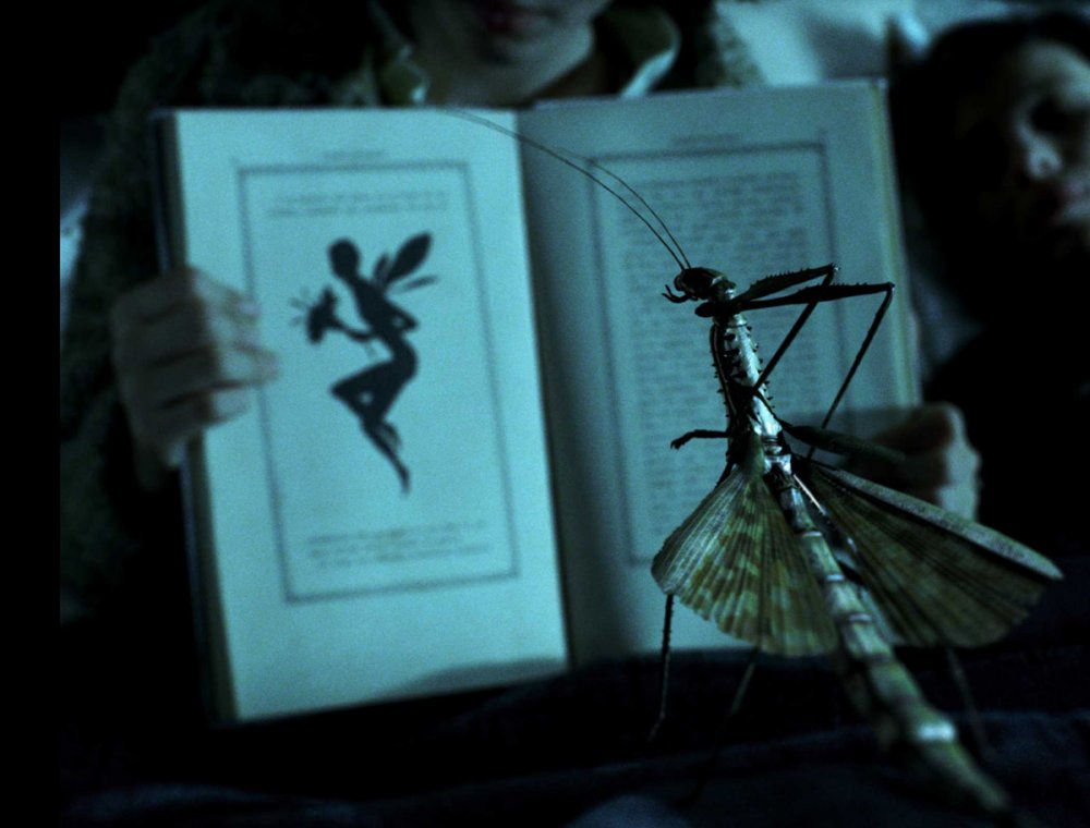 Image result for pan's labyrinth fairy
