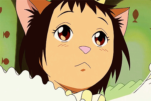 Image result for the cat returns gif