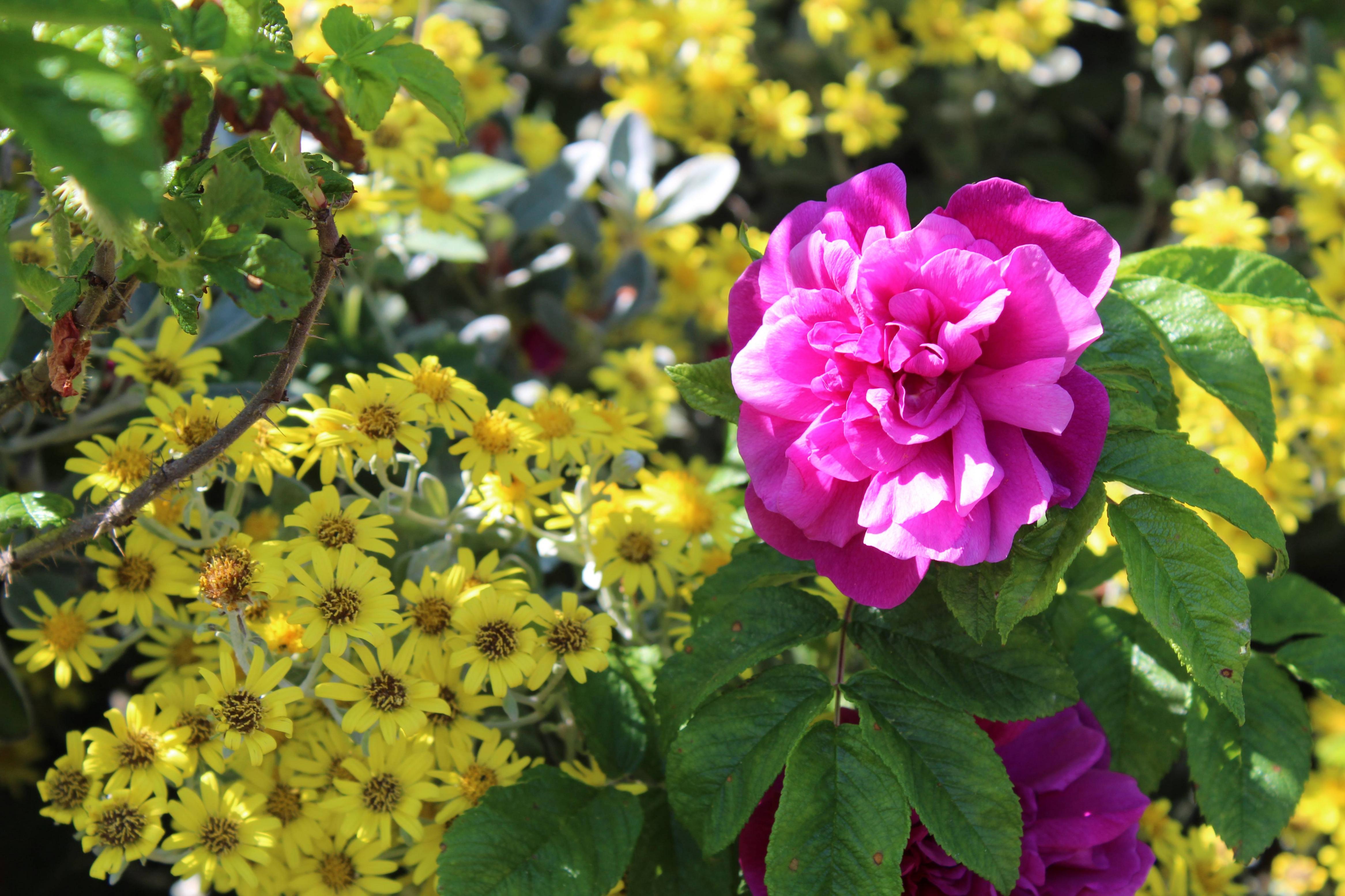 dE9T8L5.jpg