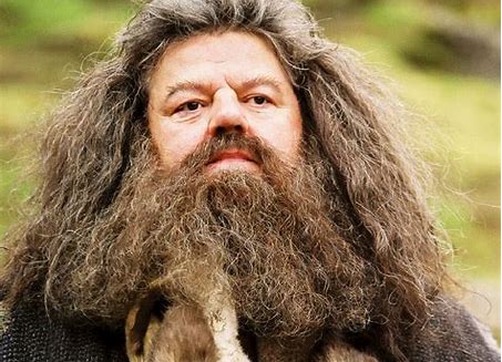 Image result for hagrid