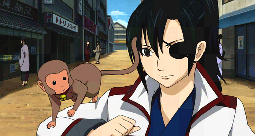 tumblr_n4390g1qq41rfx24fo1_r1_500.gif