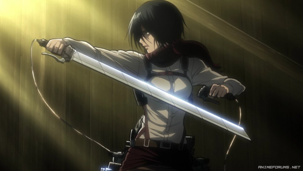 mikasa-ackerman-089.thumb.jpg.a64d22e24c07b8ce33cd414b88e9a5b4.jpg