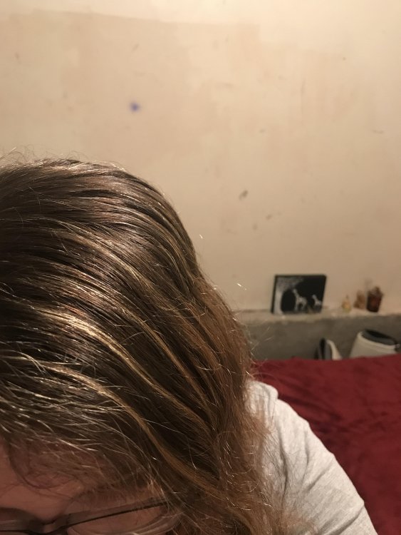 oDl6LIk.thumb.jpg.f13b75e0d32757c0b1115e54b81d021d.jpg