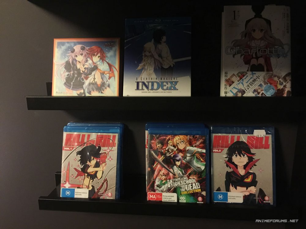 shelves1.thumb.jpg.d1d21744db8f8ee8adb274992ec0c0d4.jpg