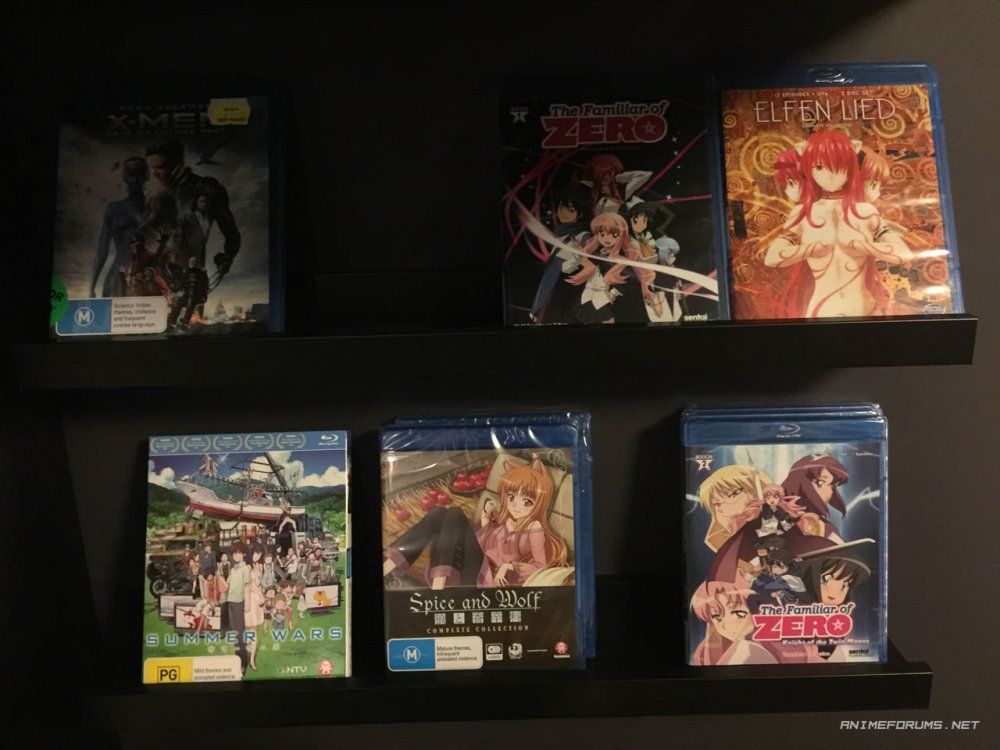 shelves2.thumb.jpg.a29d685837a4935726a14c62cd8944e2.jpg