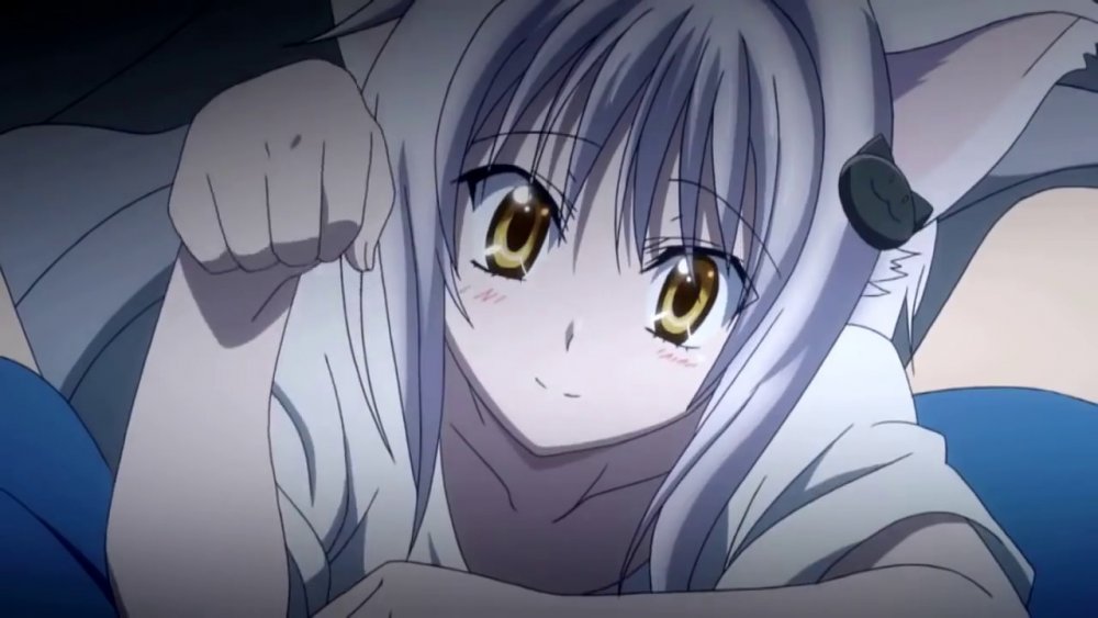 koneko-high-school-dxd.thumb.jpg.487901f0268e6bf29266c4c8001f92d1.jpg