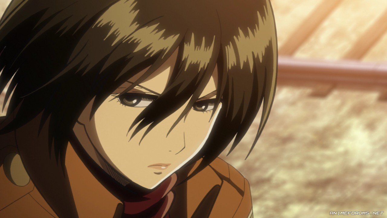 Mikasa Ackerman - Image 18. 