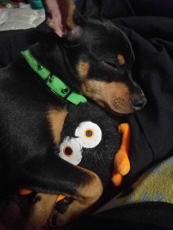 20180319_212945.jpg