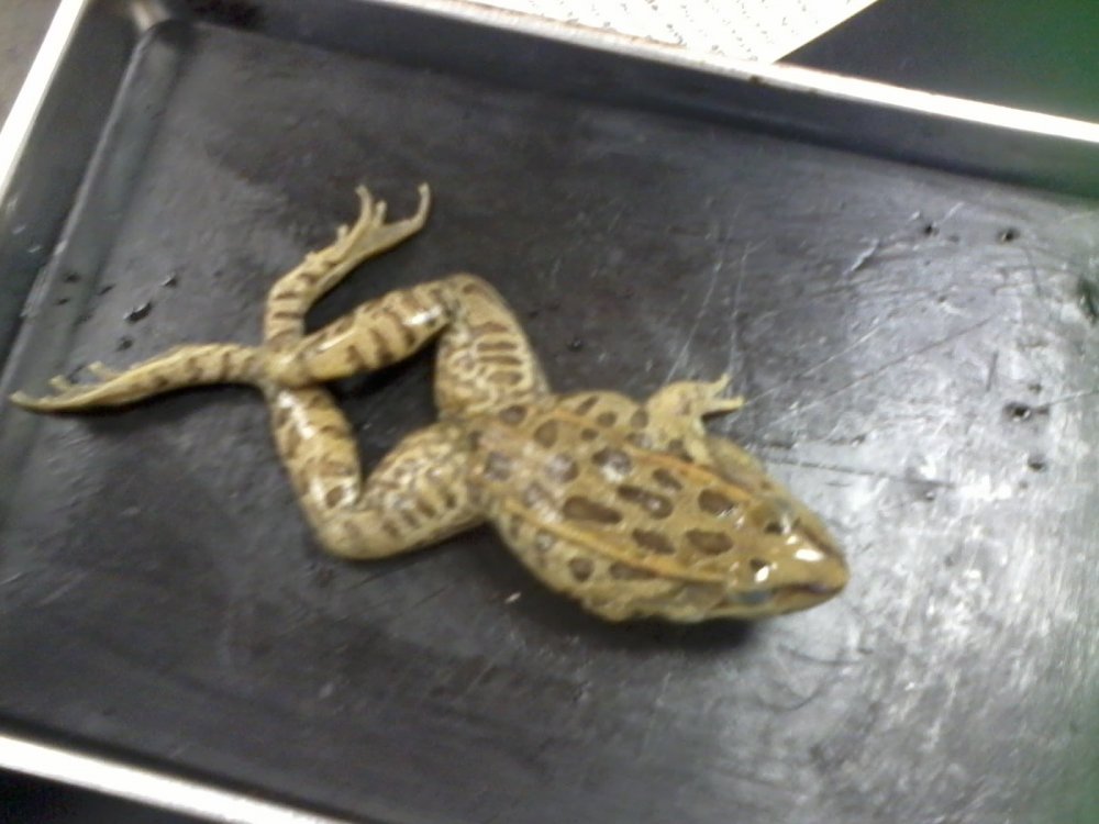 2014-05-08 11.23.23.jpg