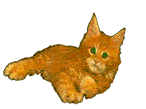 sleepy-kitty.gif.57c10bee14cb930fa55b2a257fa160c0.gif