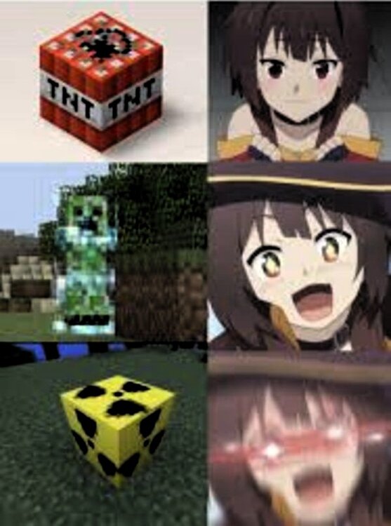 megumin_minecraft.thumb.jpg.108eb9d38328d9a13d55f814d26f82c3.jpg