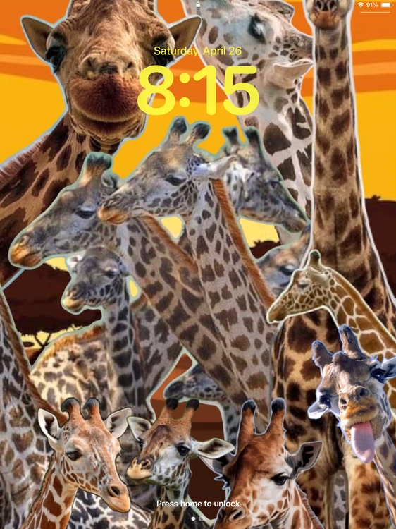 IMG_0425.png