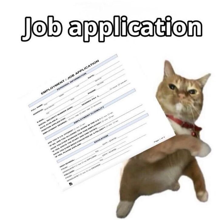 9f5dd7891c4ffb1748443ea9cf3f826c.jpg.2f953dd374988edd4b8640fed85306bb.jpg