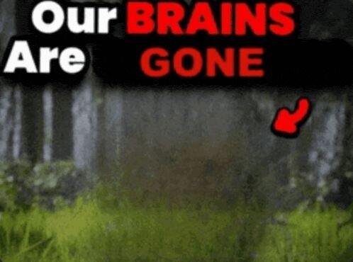 OurbrainsareGONE.jpeg.efdcb9b5f3cb1a1aad68eaaab32198ca.jpeg