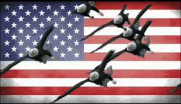 godblessamerica-america-ezgif.com-crop.gif.c81bfae983fd5e213a4ee046d28bffbe.gif