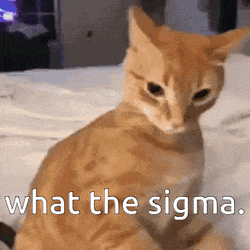 what-the-what.gif.770e0e3bae6187e6a25cb1db104504f2.gif